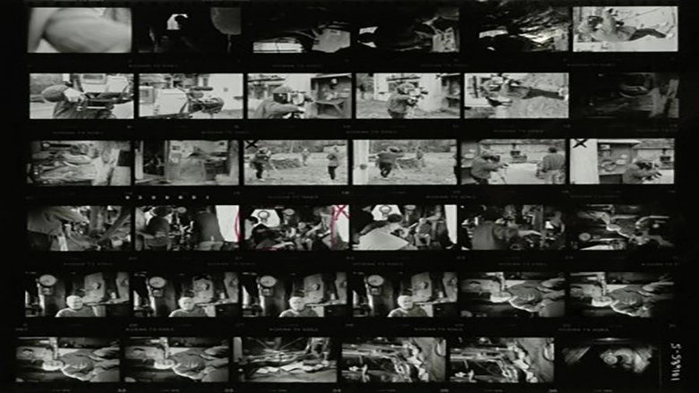 Fire In The East - A Portrait Of Robert Frank (1986)