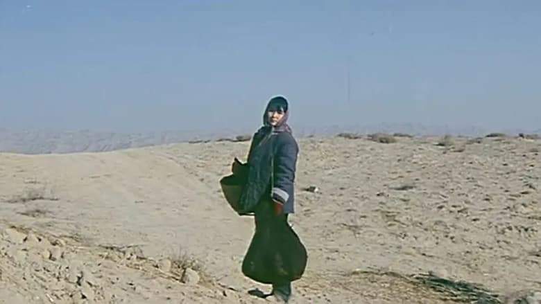 Zui Hou Yi Ge Dong Ri (1986)