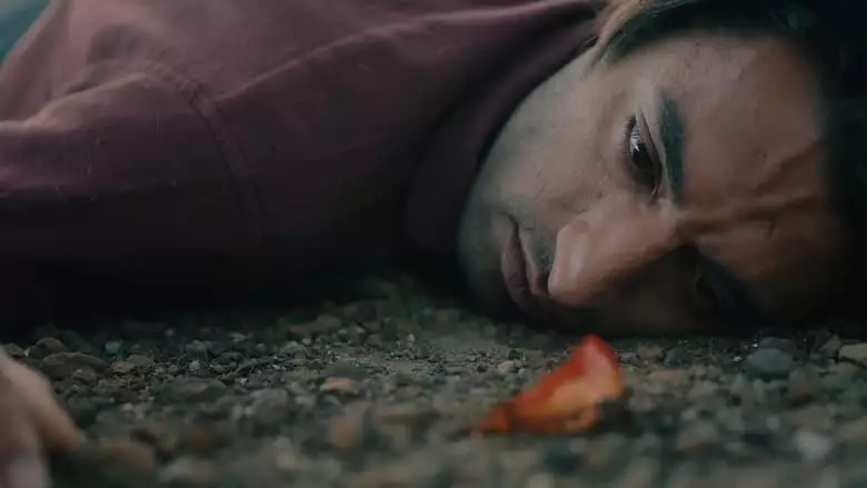 Sleep Of The Crow (2024)