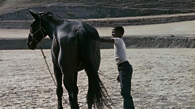 The Horse (1973)