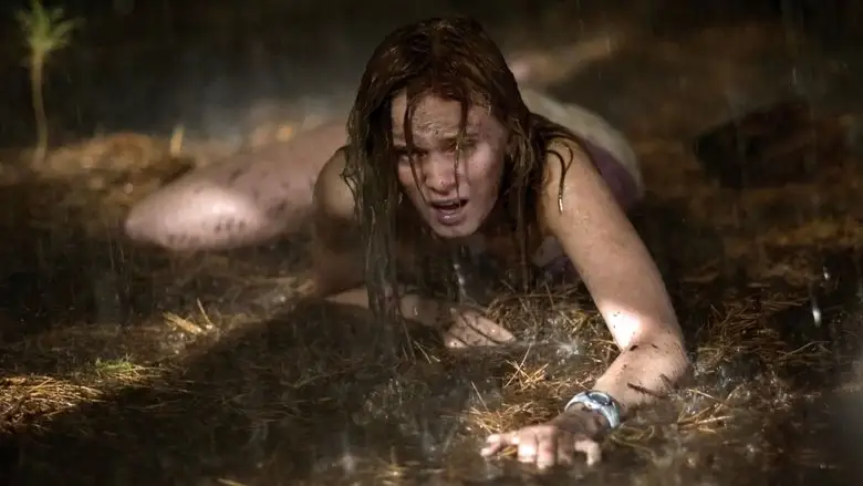 The Last House On The Left (2009)
