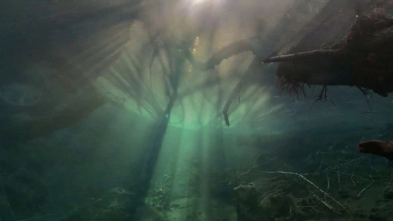 Der Unsichtbare Fluss - Unter Wasser Zwischen Schwarzwald Und Vogesen (2019)