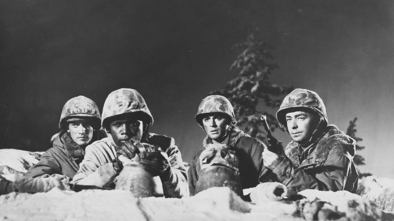 All The Young Men (1960)