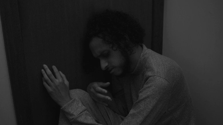 A Metamorfose (2026)