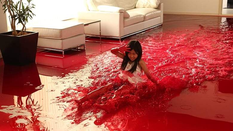 Why Don't You Play In Hell? (2013)