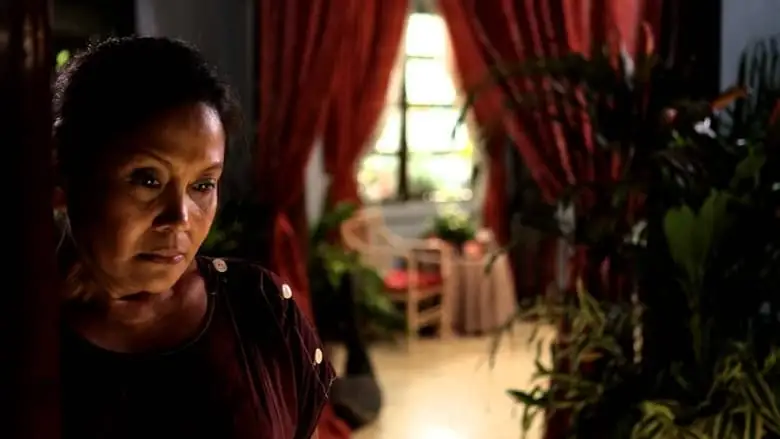 Ano Ang Kulay Ng Mga Nakalimutang Pangarap? (2013)