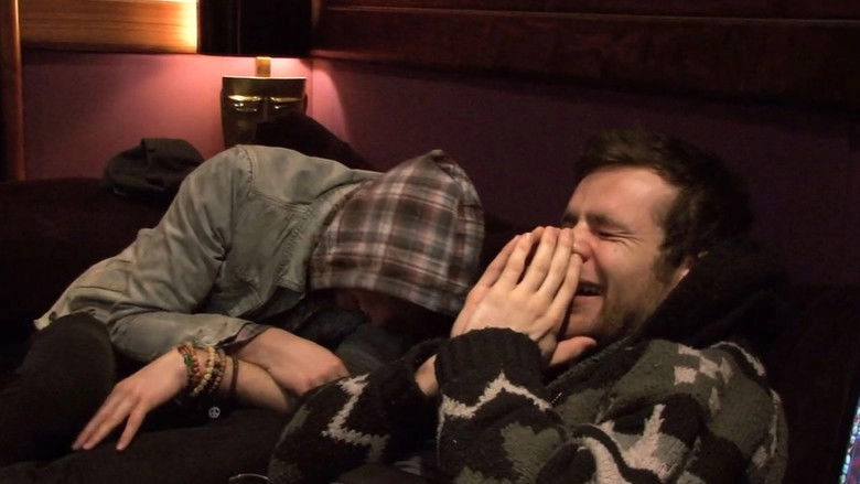 McFly: Behind the Noise (2010)