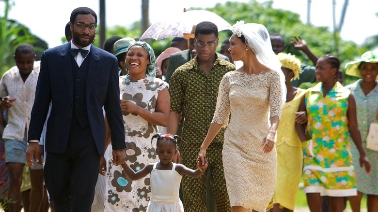 Half Of A Yellow Sun (2013)