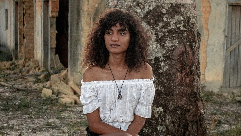 Capim-Navalha (2023)