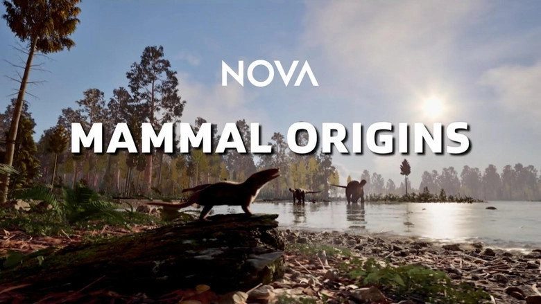 Mammal Origins (2026)