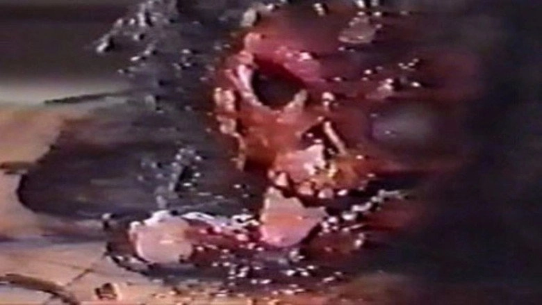 Jushin Densetsu (1987)