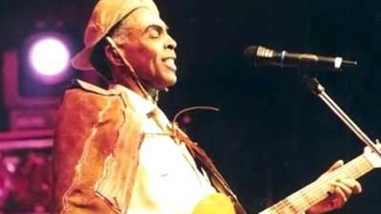 Viva São João! (2002)