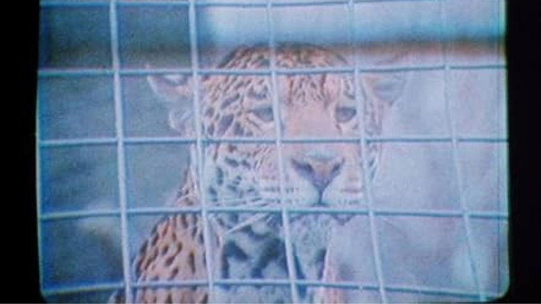 Mark Of Lilith (1986)