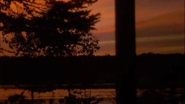 Cove (2012)