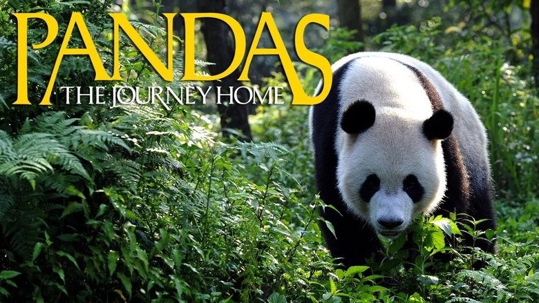 Pandas: The Journey Home (2014)