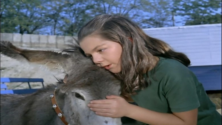 La Historia De Bienvenido (1964)