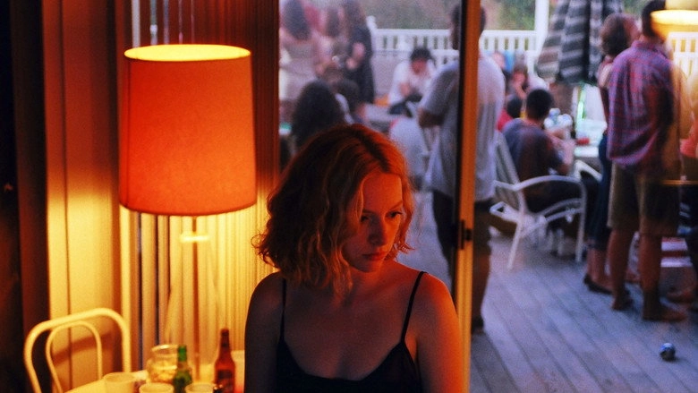 I Used To Be Darker (2013)