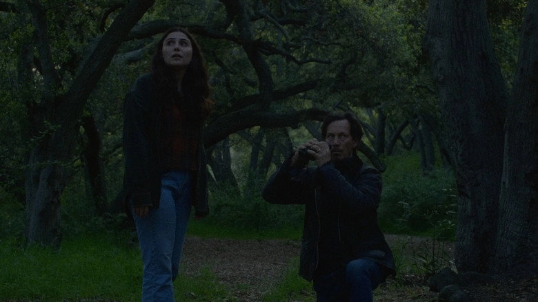 Owl Spotting (2023)