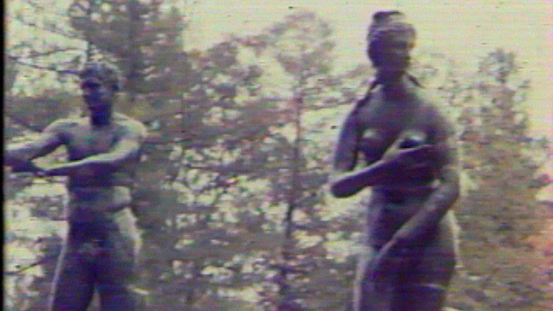 Metamorphosis (1988)