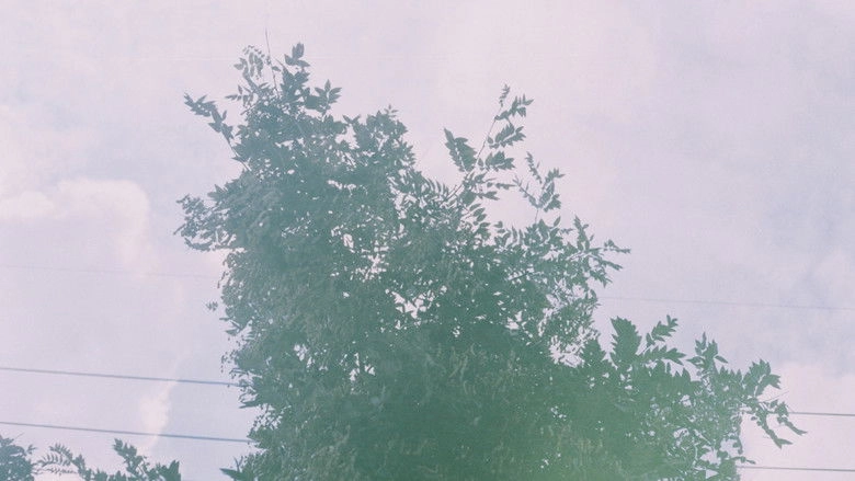 Beyond The Alps (2024)