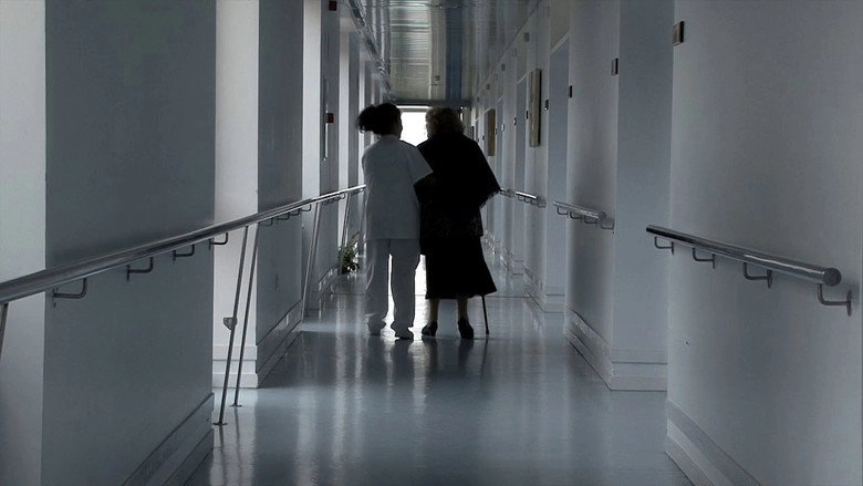Palindrome (2010)