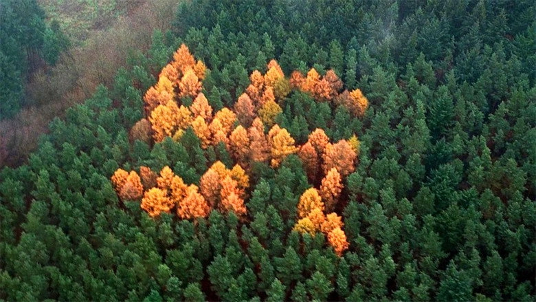 The Story Of The Swastika (2013)