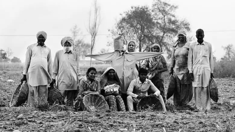 Landless (2018)