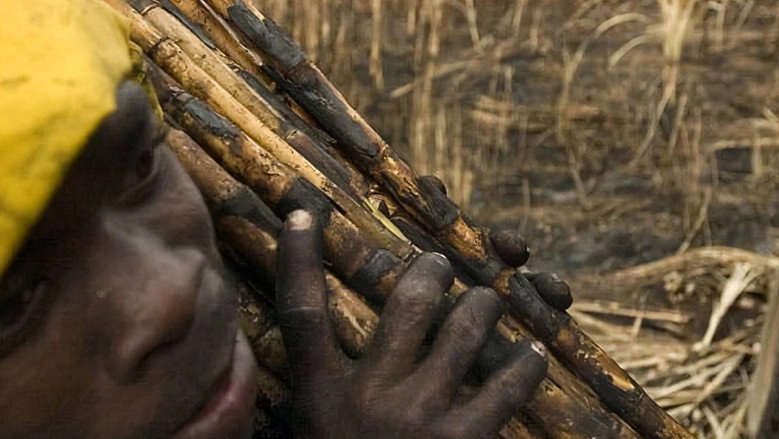 The Price Of Sugar (2007)