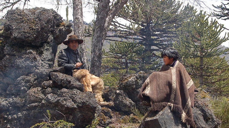 Konun Wenu (2010)
