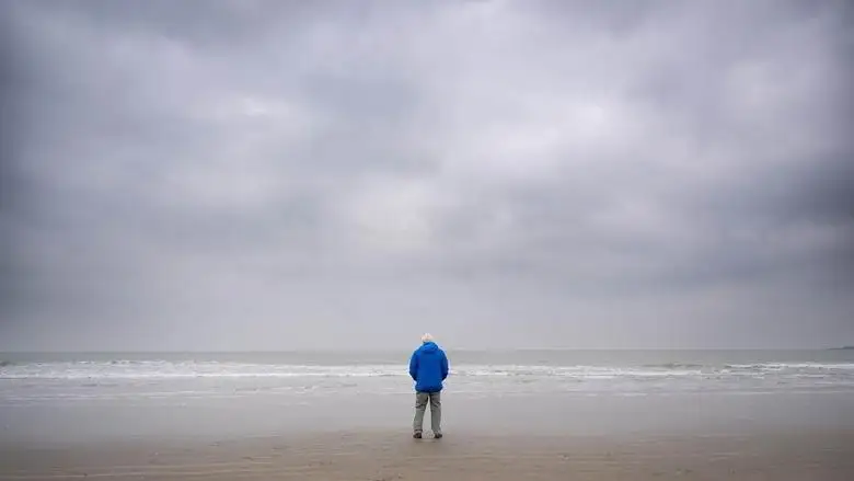 Ocean With David Attenborough (2025)