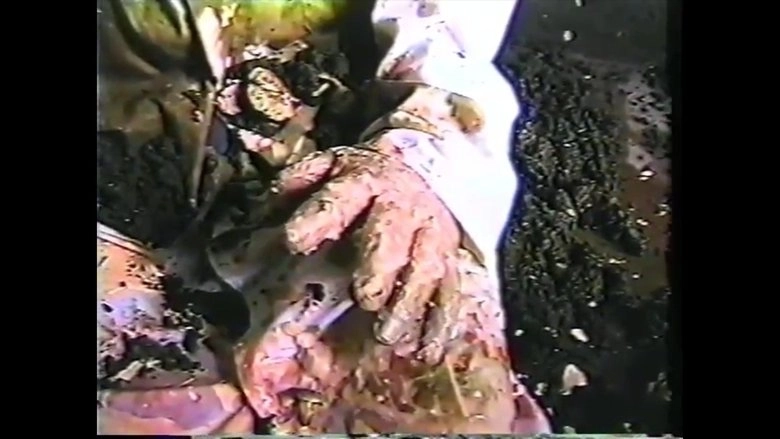 Gore Gore Gays (1998)