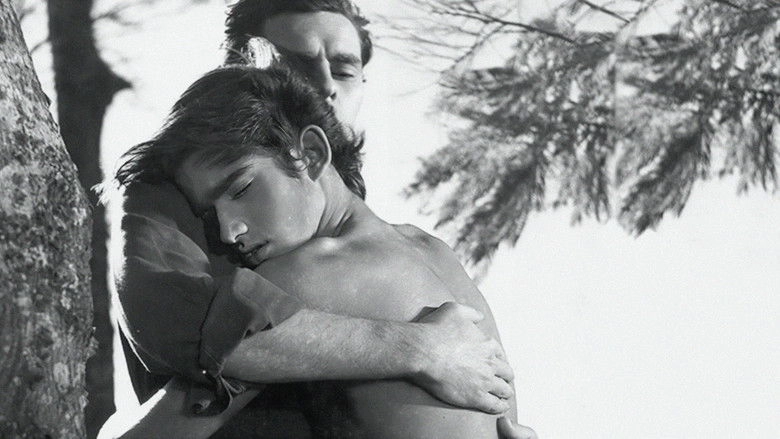 The Boy And The Wind (1967)