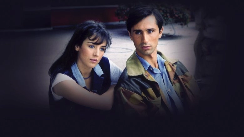 Clara And The Why Not (1981)