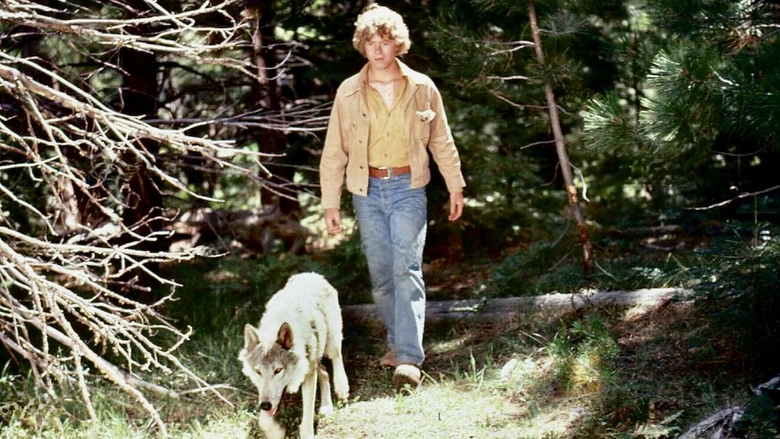 The Flight Of The Grey Wolf (1976)