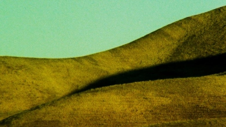 The Dragon Is The Frame (2014)