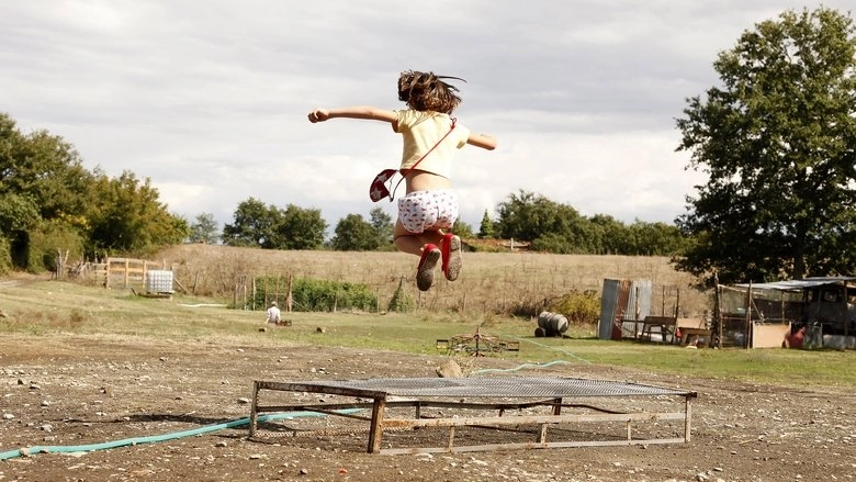 The Wonders (2014)