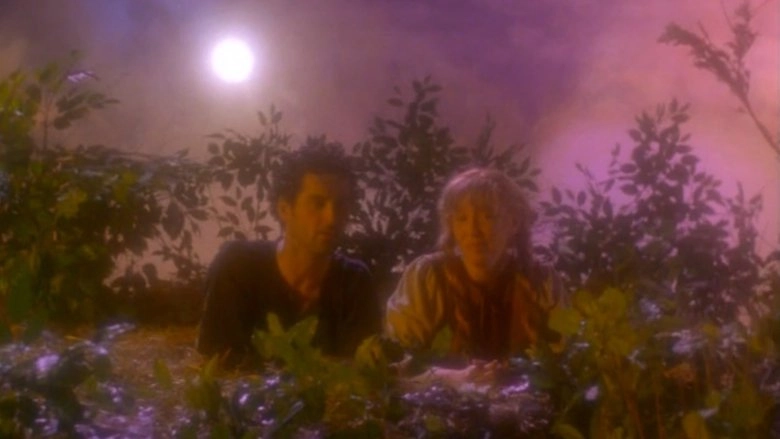 Twilight Of The Ice Nymphs (1997)