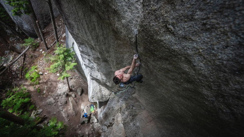 The Cobra And The Heart (2025)