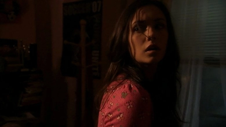 Never Cry Werewolf (2008)