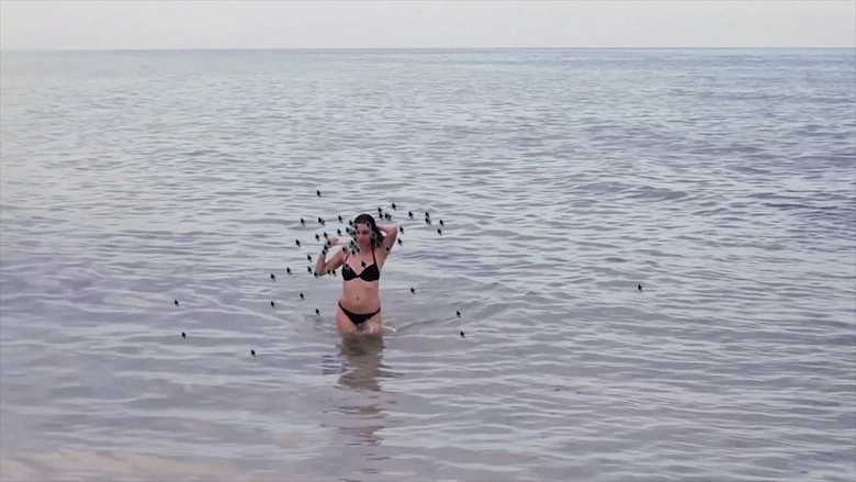 Hot Beach Babe Aims To Please (2014)