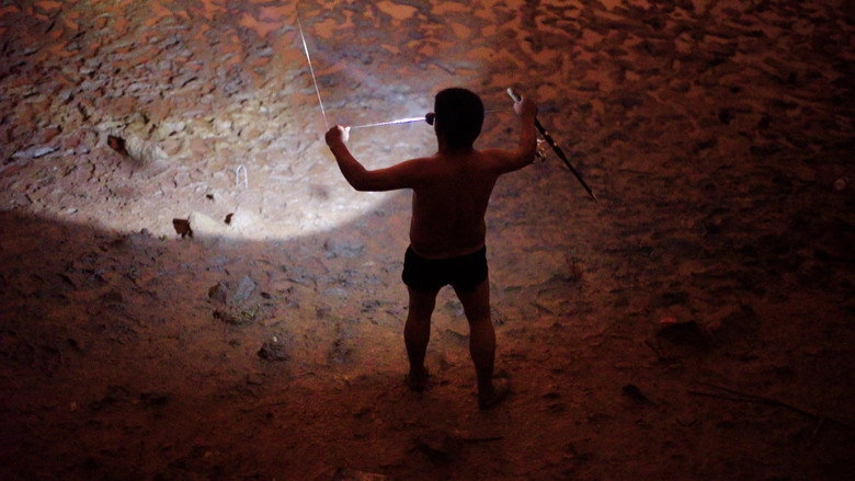 The Worldly Cave (2017)