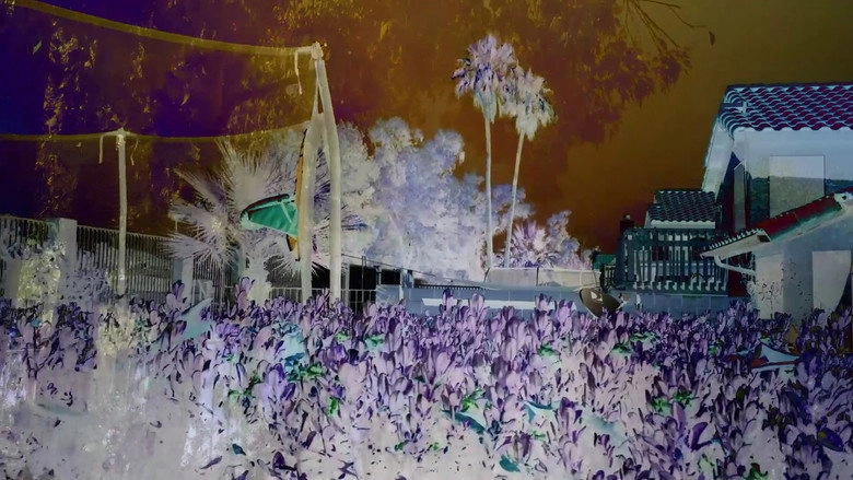 Revisited Remunerations Rapturously Collapse When Recompensed (2017)