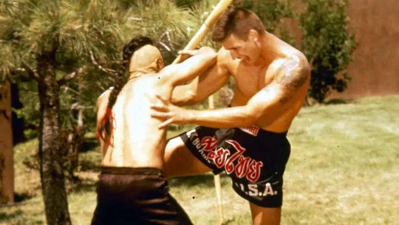 Kickboxer 4: The Aggressor (1994)