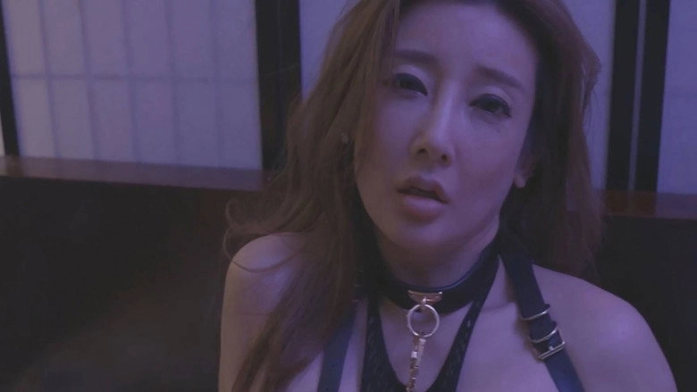 Yellow House (2023)