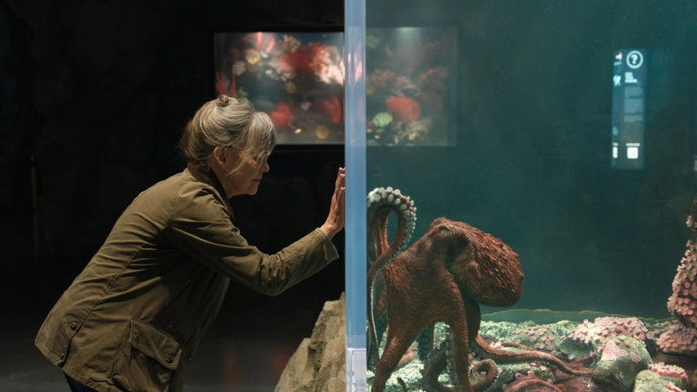 Remarkably Bright Creatures (2026)