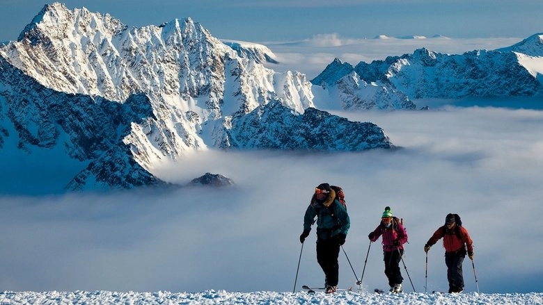 Wintervention (2010)