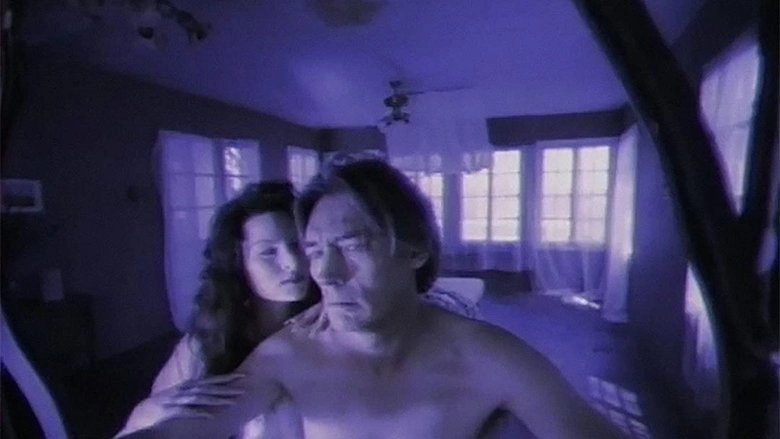 Mirror Mirror 3: The Voyeur (1995)