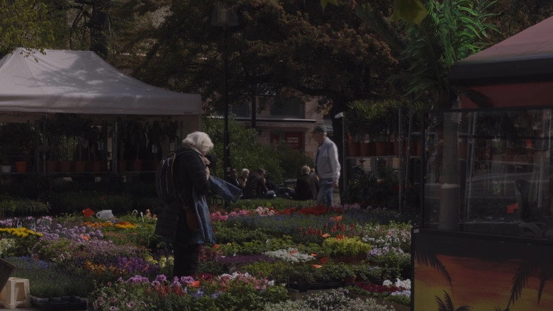 Interdependence (2020)