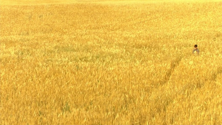 The Reflecting Skin (1990)