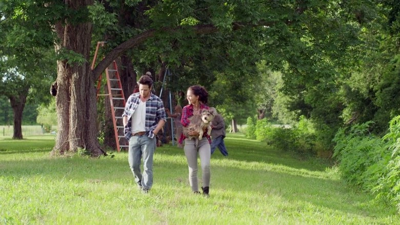 Night Of The Wild (2015)